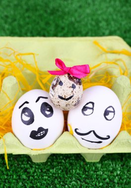 yumurta yumurta tepsisi