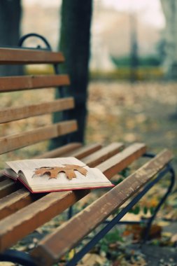 Yaprak ile açık kitap