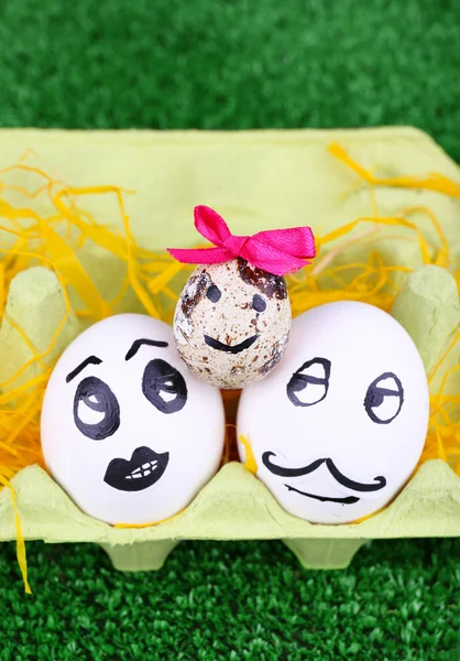 Eggs in egg tray — Stock Photo, Image