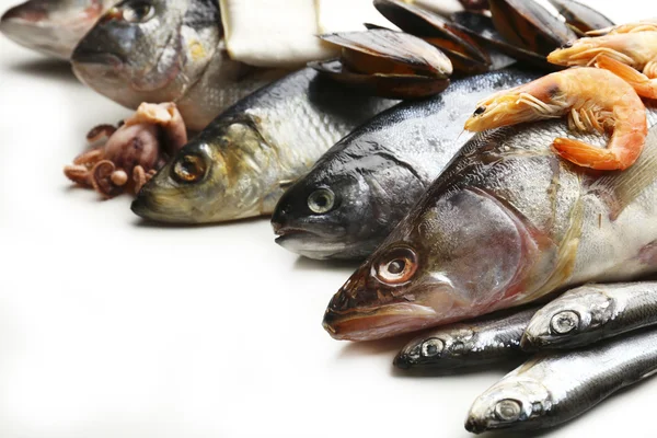 Čerstvé úlovky ryb — Stock fotografie
