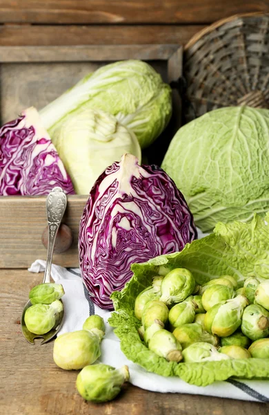 Bodegón con surtido de coles — Foto de Stock