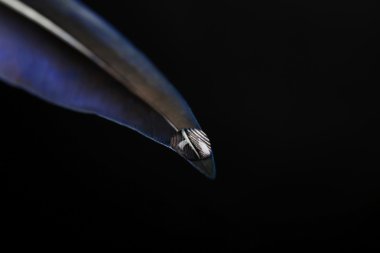 Su damlası ile güzel tüy