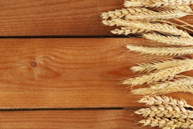 Spikelets ahşap üzerine buğday