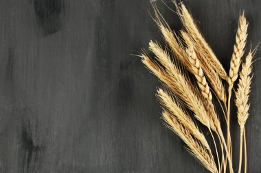Spikelets buğday kara günü