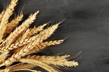 Spikelets buğday kara günü