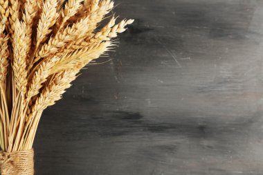 Spikelets buğday kara günü