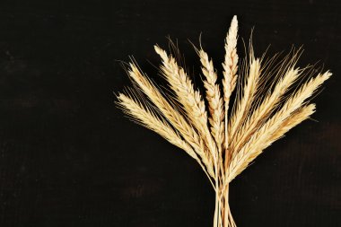 Spikelets buğday siyah