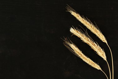 Spikelets buğday siyah