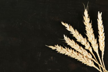 Spikelets buğday siyah