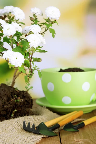 Table rustique avec des fleurs — Photo