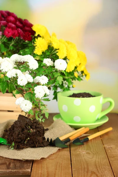 Rustic table with flowers — Stock Photo, Image