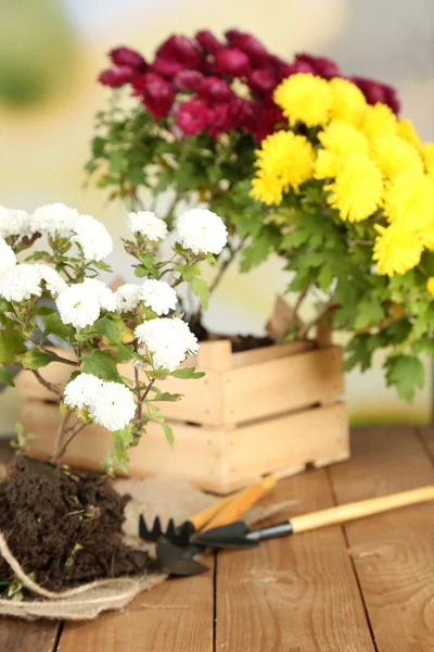 Rustic table with flowers — Stock Photo, Image