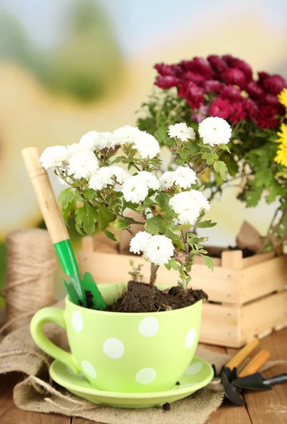 Rustika bord med blommor — Stockfoto