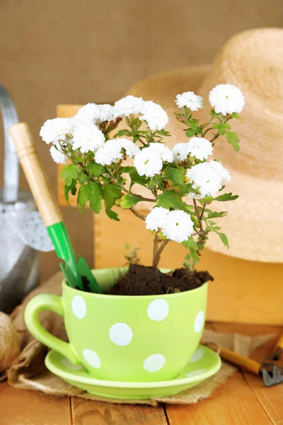 Rustic table with flowers — Stock Photo, Image