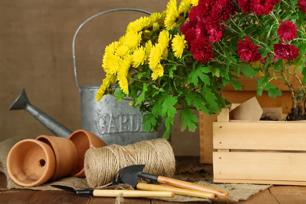 Rustic table with flowers — Stock Photo, Image