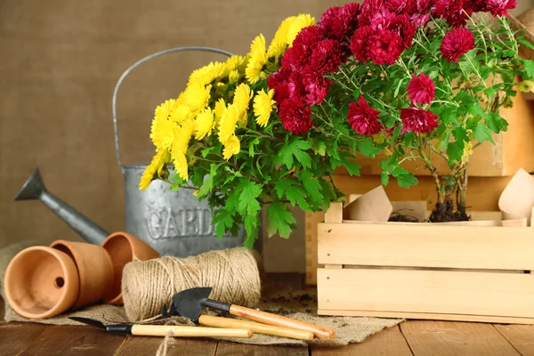 Mesa rústica com flores — Fotografia de Stock