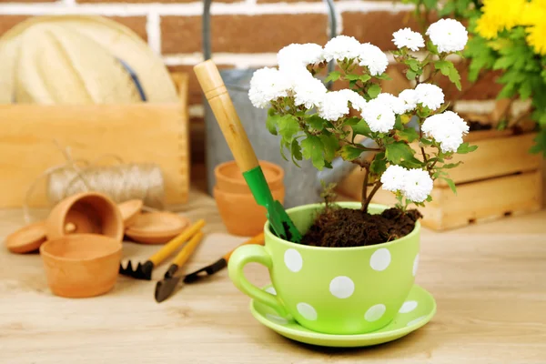 Flowers in pot and potting soil — Stock Photo, Image