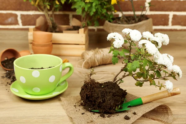 Flowers in pot and potting soil