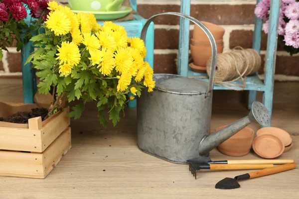 Blumen im Topf auf Stuhl — Stockfoto