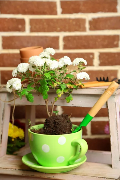 Flowers in pot on stepladder — Stock Photo, Image