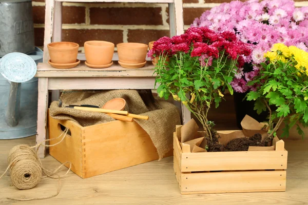 Fiori in scatola di legno, pentole e attrezzi da giardino su sfondo mattoni. Piantare fiori concetto — Foto Stock