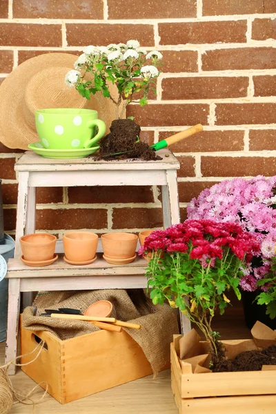 Blommor i trälåda, krukor och trädgårdsredskap på tegelstenar bakgrund. Plantera blommor koncept — Stockfoto