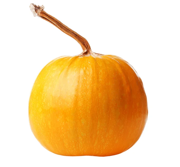 Calabaza madura aislada en blanco — Foto de Stock