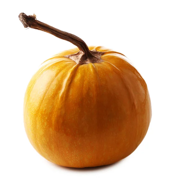 Calabaza madura aislada en blanco — Foto de Stock