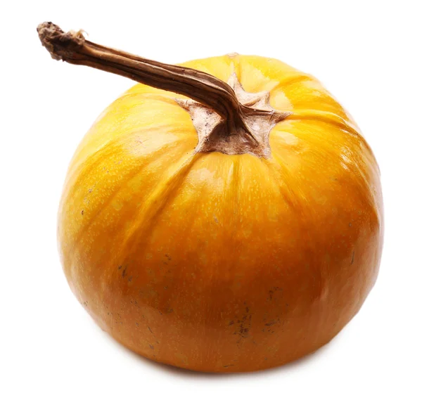 Calabaza madura aislada en blanco — Foto de Stock