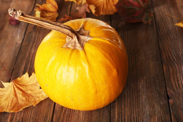 Ripe pumpkin background — Stock Photo, Image