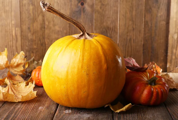 Ripe pumpkin background — Stock Photo, Image