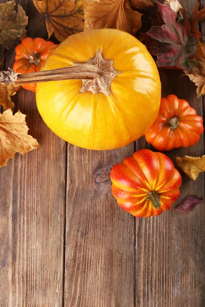 Ripe pumpkin background — Stock Photo, Image