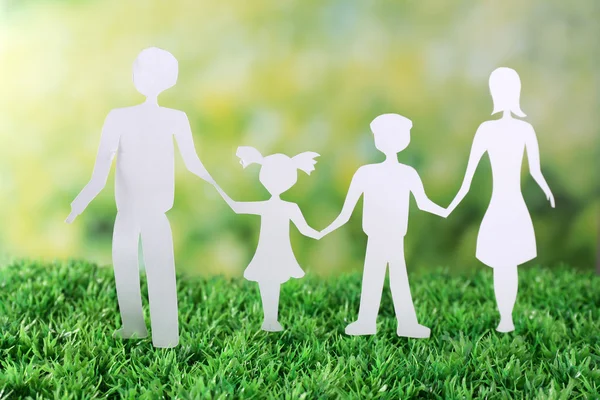Paper family on green grass — Stock Photo, Image