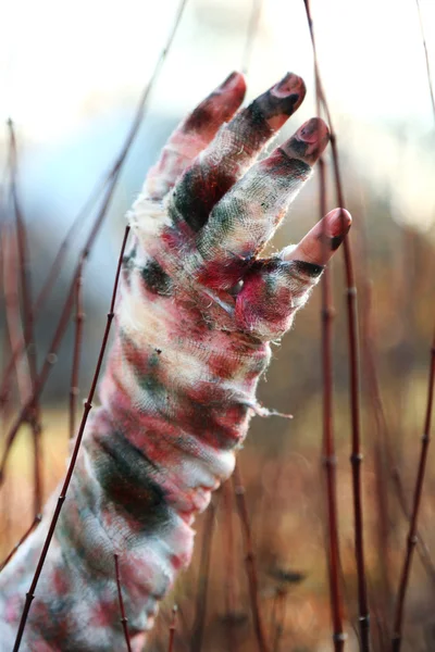 Hand of scary mummy — Stock Photo, Image