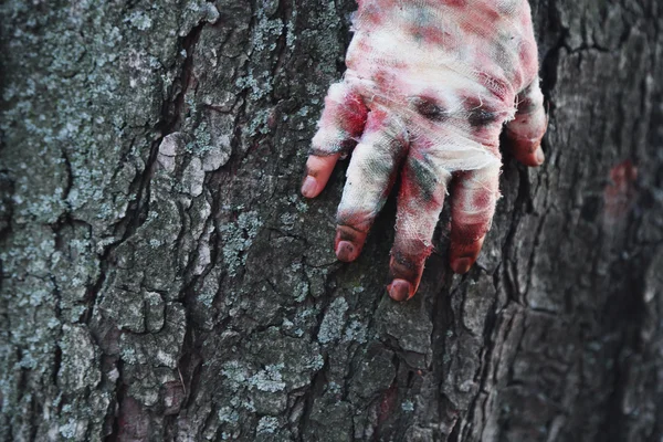 Hand av skrämmande mumie — Stockfoto