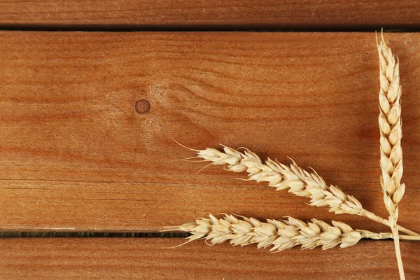 Spikelets of wheat on wood — Stock Photo, Image