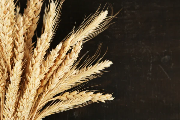 Spikelets of wheat on black — Stock Photo, Image