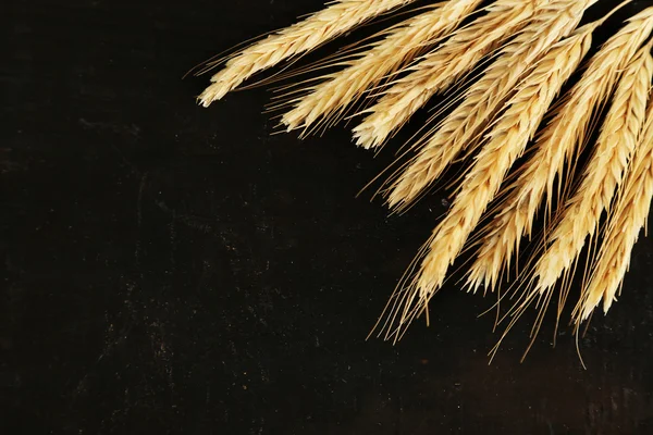 Spikelets of wheat on black — Stock Photo, Image