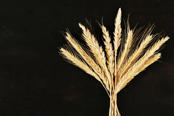 Spikelets of wheat on black — Stock Photo, Image