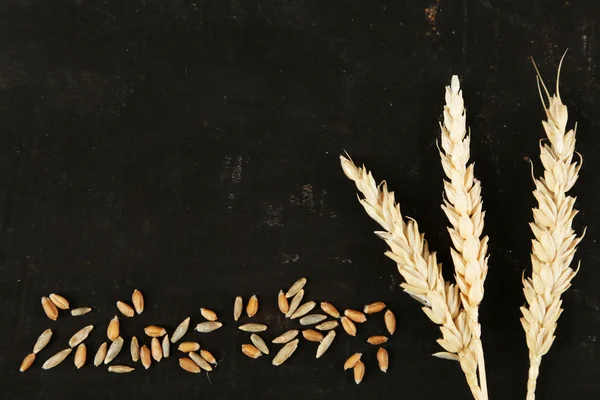 Spikelets of wheat on black — Stock Photo, Image