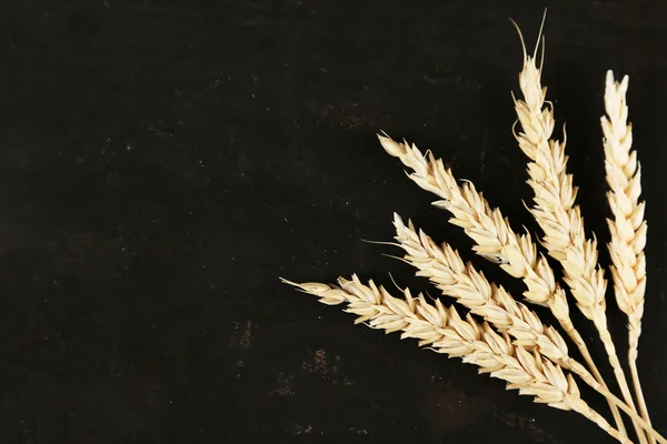 Spikelets of wheat on black — Stock Photo, Image