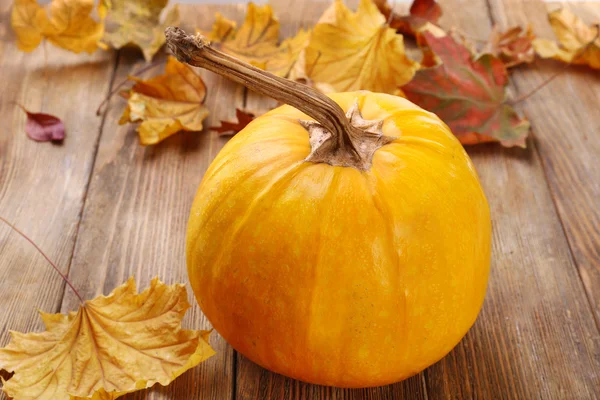 Ripe pumpkin background Stock Photo