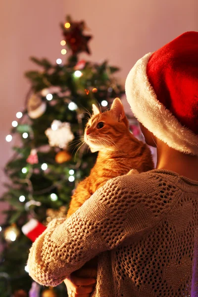 Rode kat in handen in de buurt van de kerstboom — Stockfoto