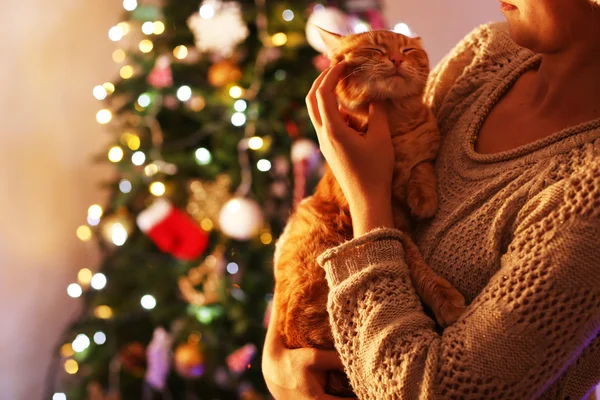 Gato vermelho nas mãos perto da árvore de Natal — Fotografia de Stock