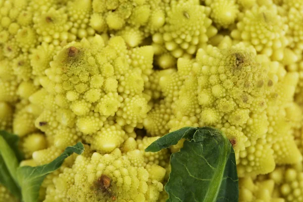 Romanesco Brokkoli, aus nächster Nähe — Stockfoto