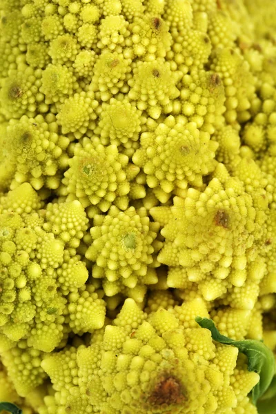 Romanesco brócoli, primer plano —  Fotos de Stock