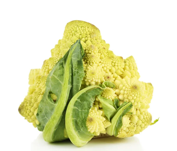 Romanesco Brokkoli isoliert auf weiß — Stockfoto