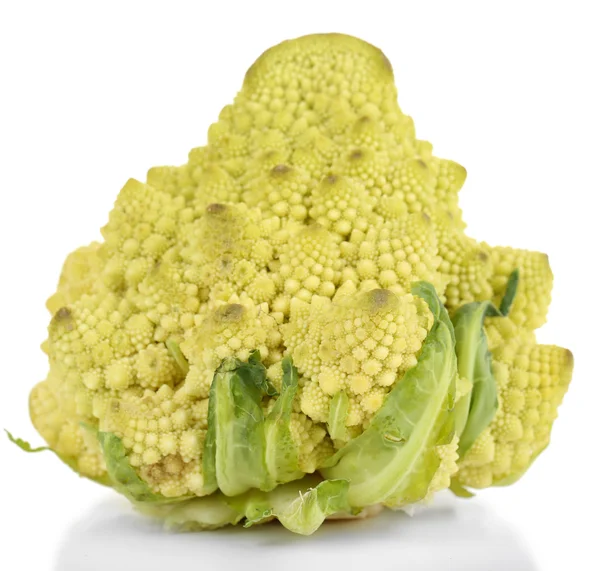 Romanesco Brokkoli isoliert auf weiß — Stockfoto