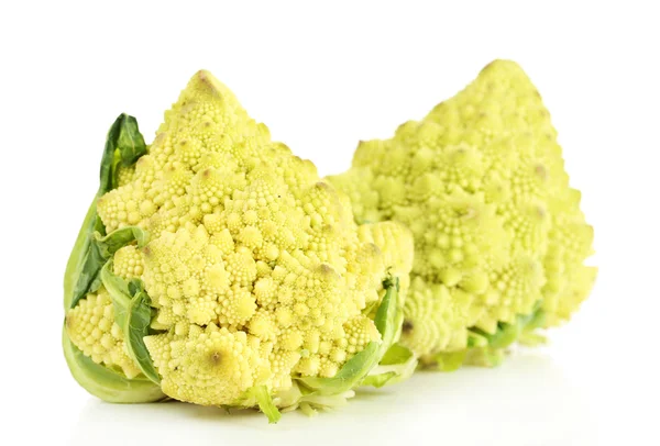 Romanesco brokkoli elszigetelt fehér — Stock Fotó