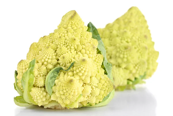 Romanesco broccoli isolated on white — Stock Photo, Image